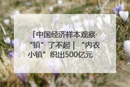 中国经济样本观察·“镇”了不起｜“内衣小镇”织出500亿元“里子产业”